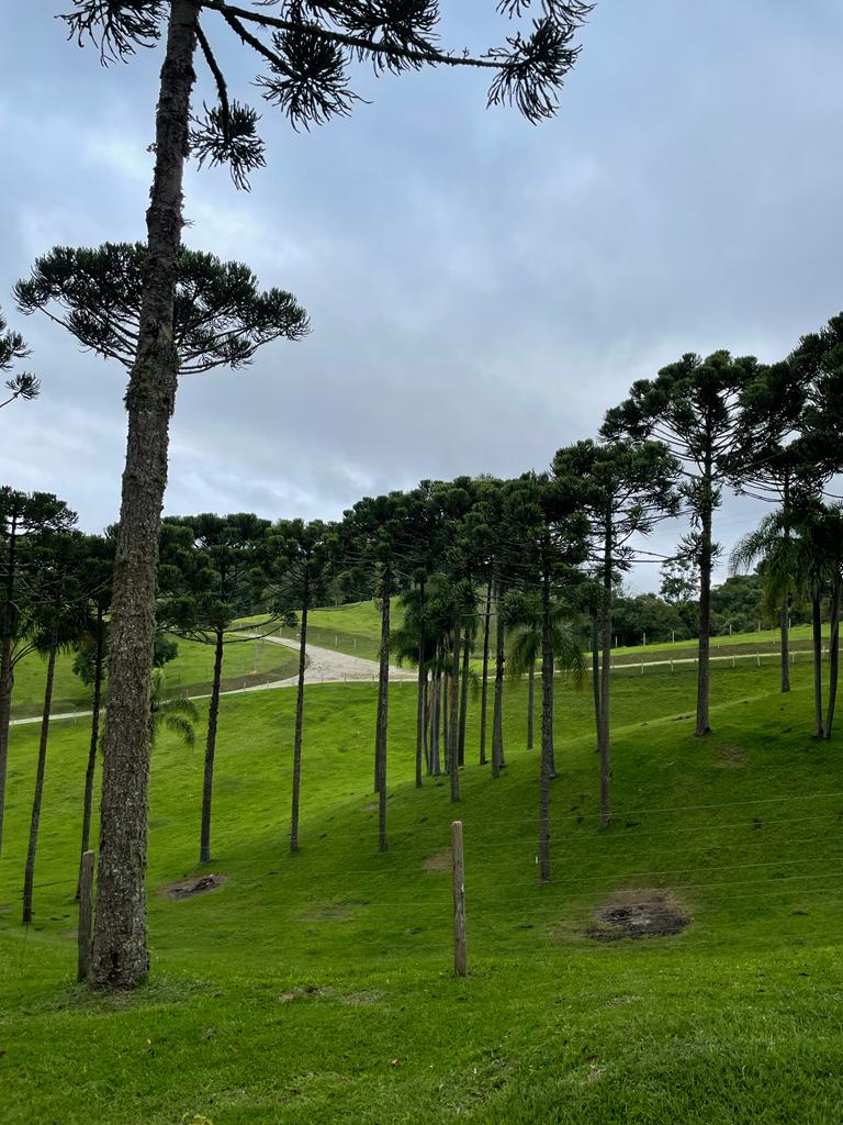 RESERVA BERALDIN (40)
